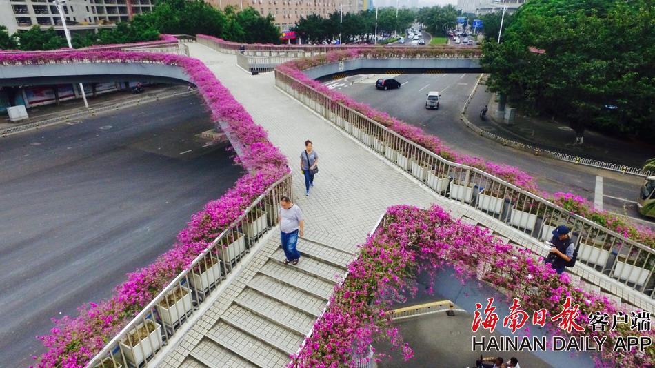白丝校花被 狂揉大胸照片