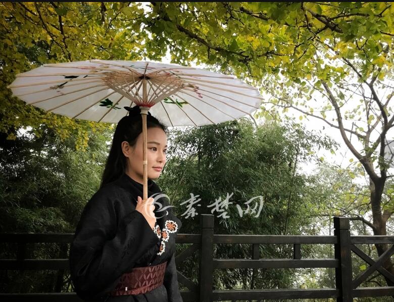 高清黄片