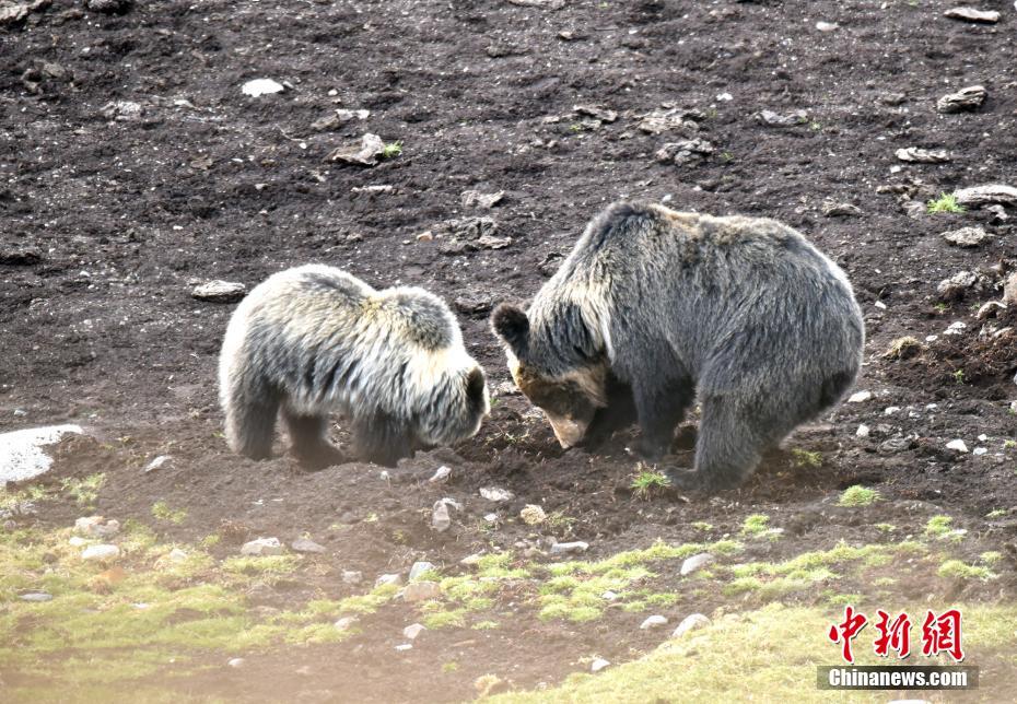 抖音黄色电影视频抖音黄色电影视频