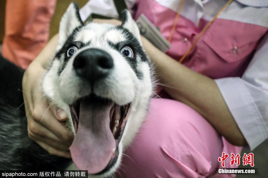潘金莲西门庆做爰
