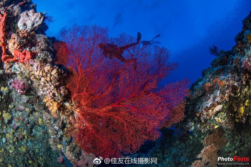 欧美在线视频一区