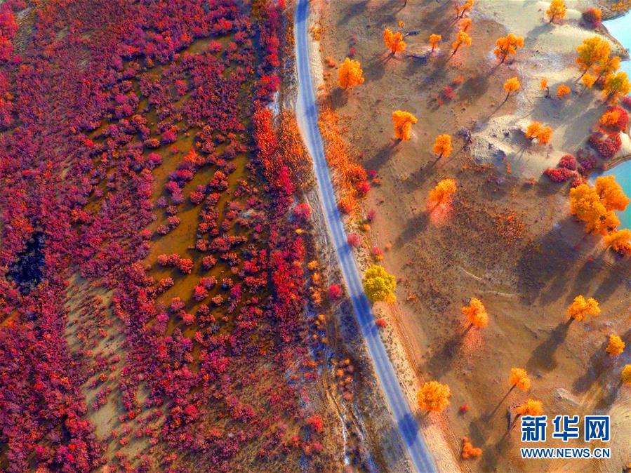 亚洲天堂无码