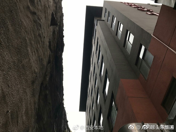 腐团儿
