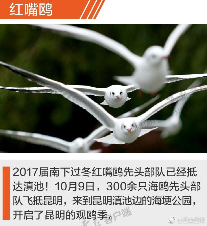 大陸女明星