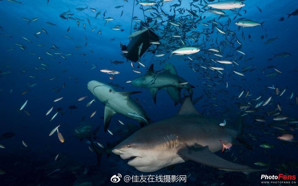 欧美成人免费