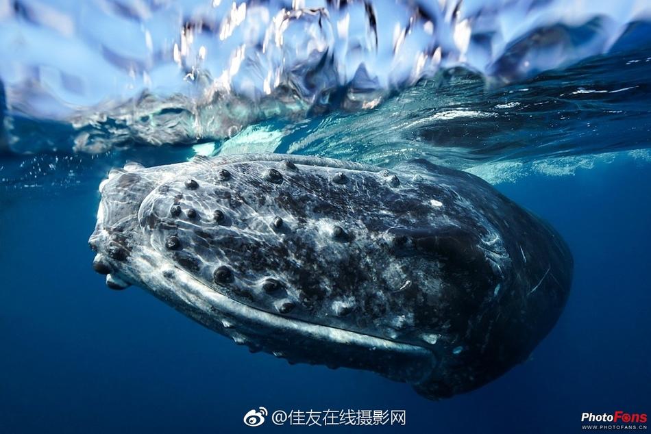 黄色 视频 大全