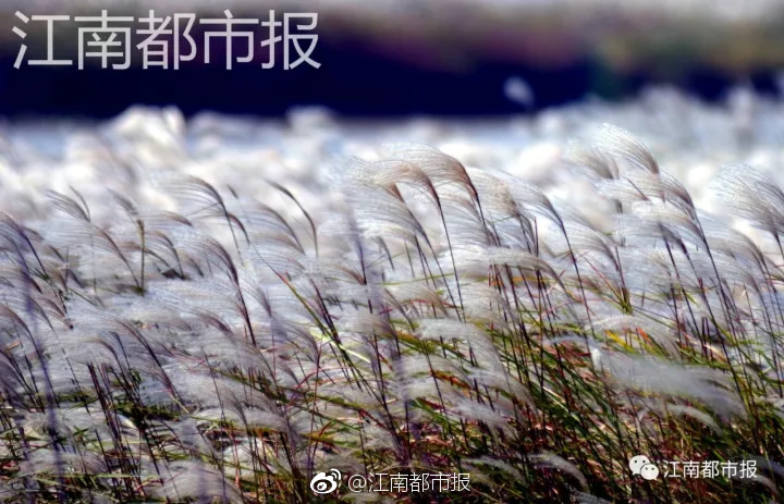 裸体 开腿羞羞游戏