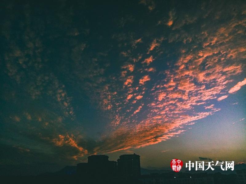 黄色 动漫 无码