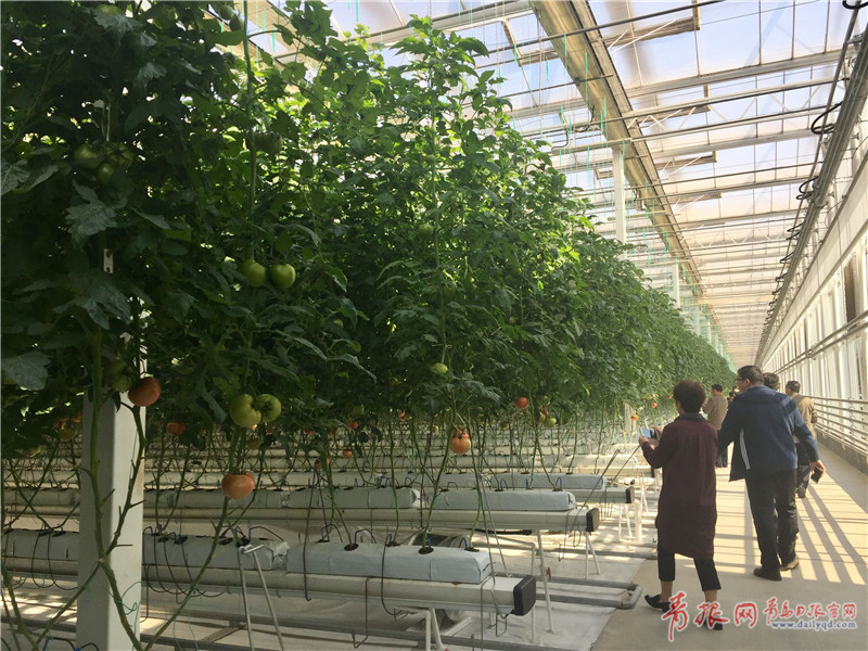 黄色 网站 大全