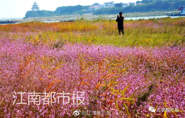 91久久国产综合久久91大便
