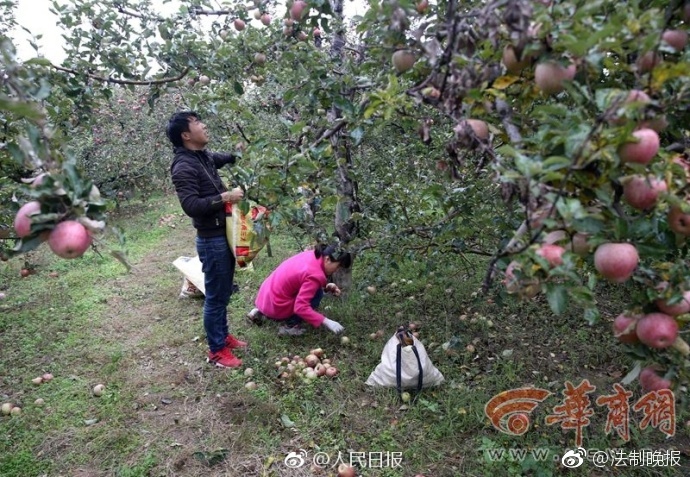 动漫《呼吸过度》