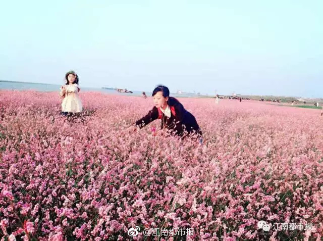 啪啪啪免费视频