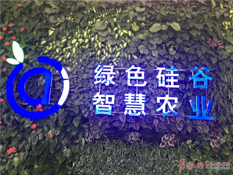 中国女人无套内谢