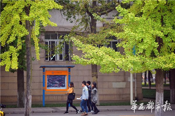 中文妈妈色情