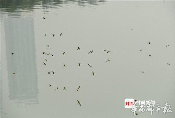 日本无码H肉动漫在线先下载