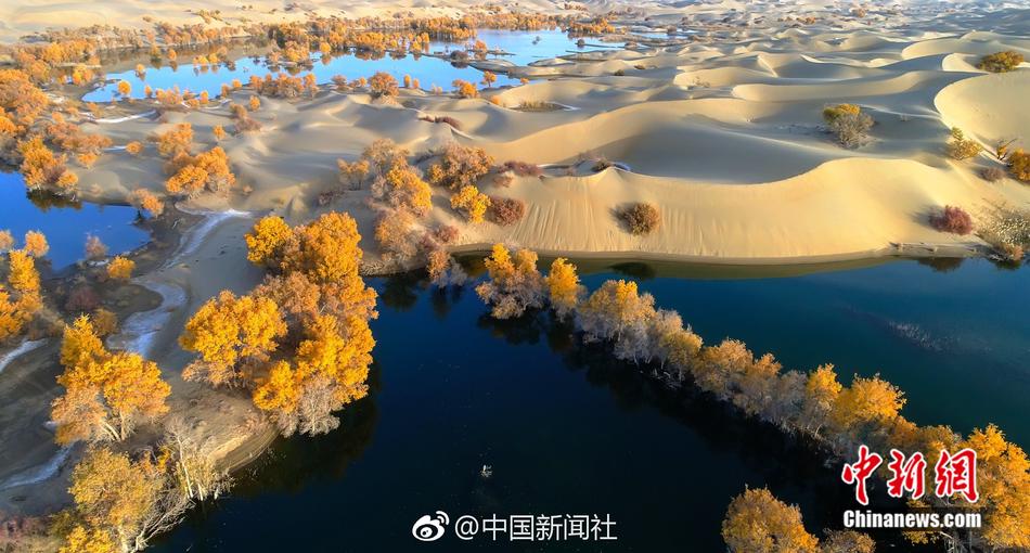 acfanAcfun禁漫天堂