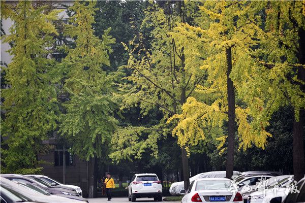 某大學校花又被偷拍外流