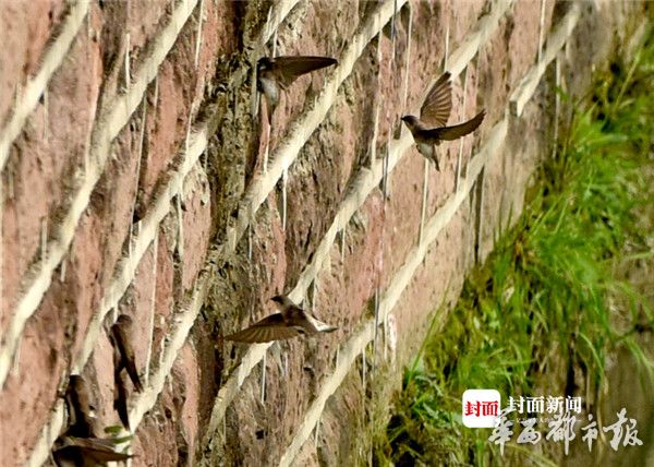 亚洲日韩欧美精品