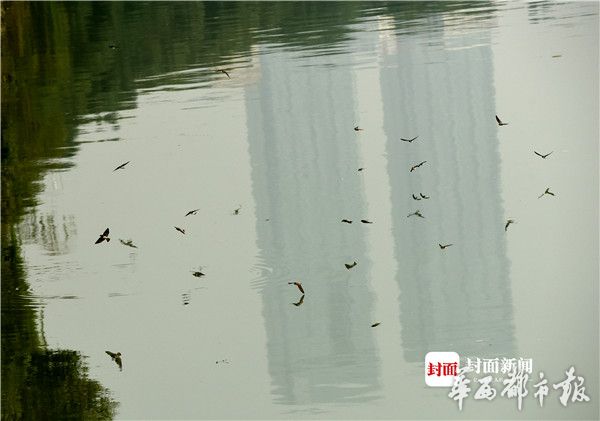 成人 影片 动漫