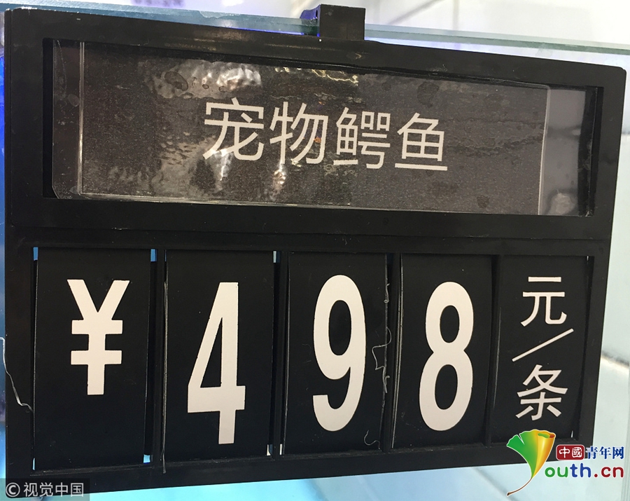 日本丰满熟妇10