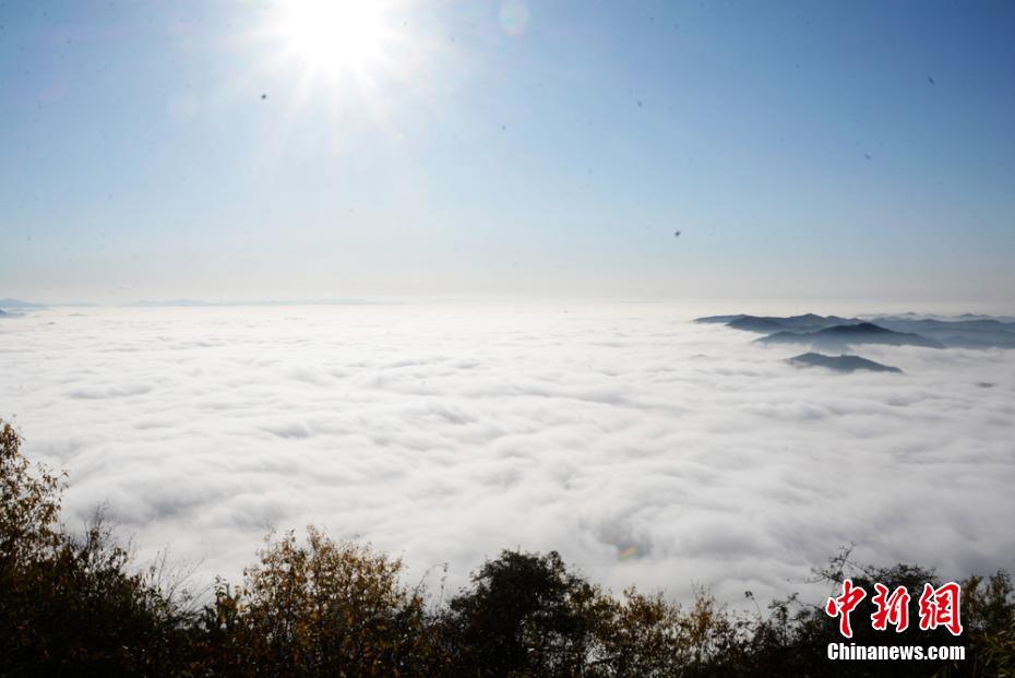 黃米可