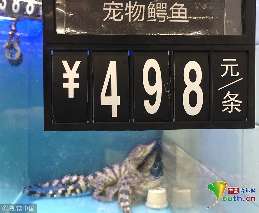 夫妻一级片