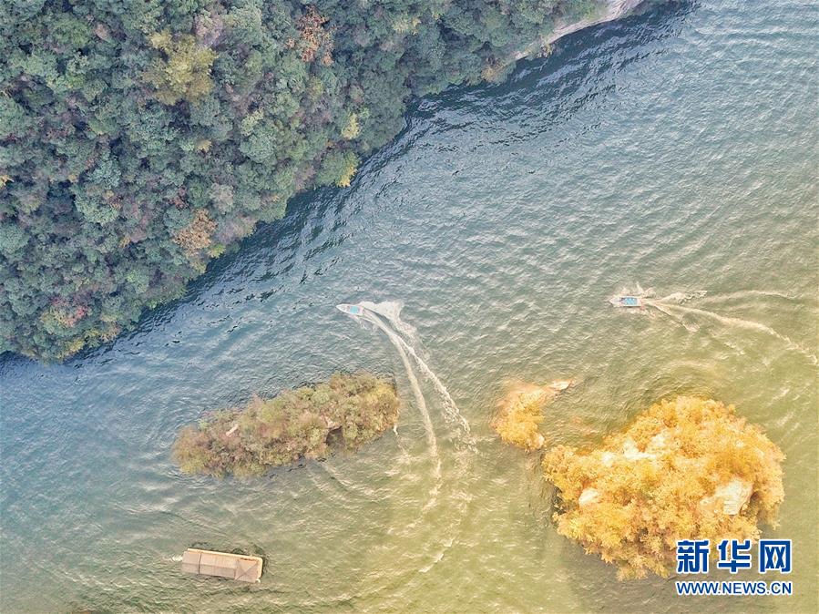 亚洲无码天堂
