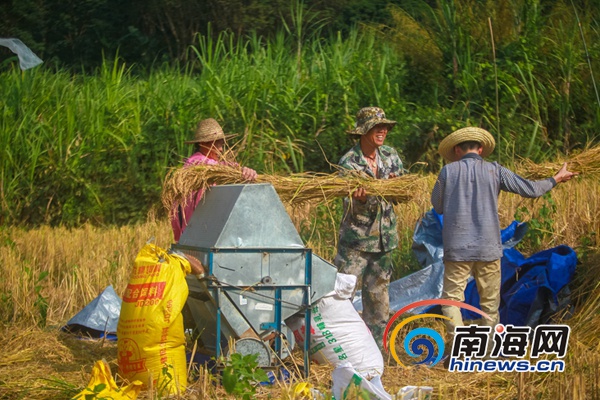 搜索黄色电影