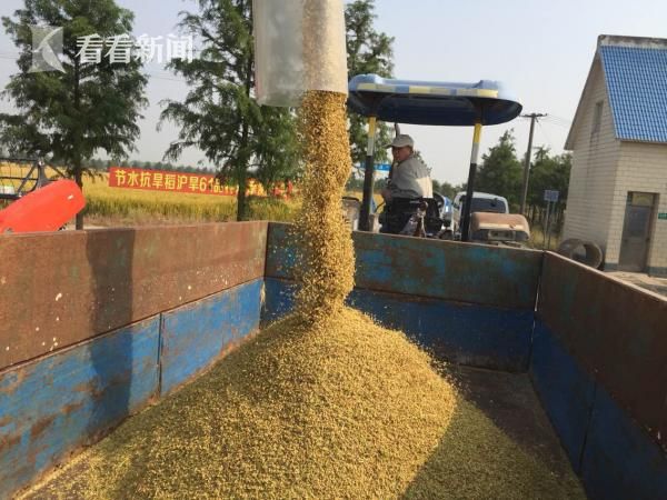 李赛凤