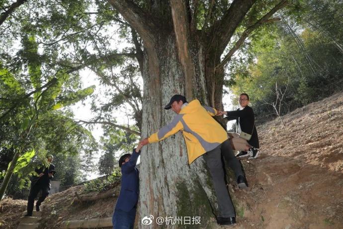 不知火舞被扒开腿狂