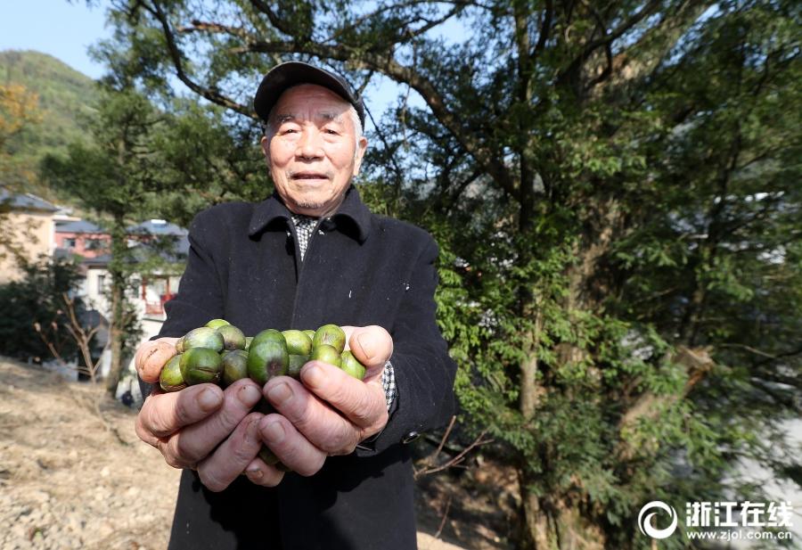 8 8 永久华人8X8