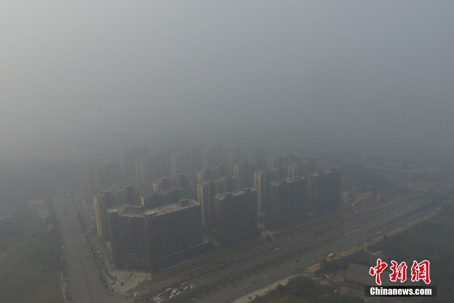 欧美特A级黄片