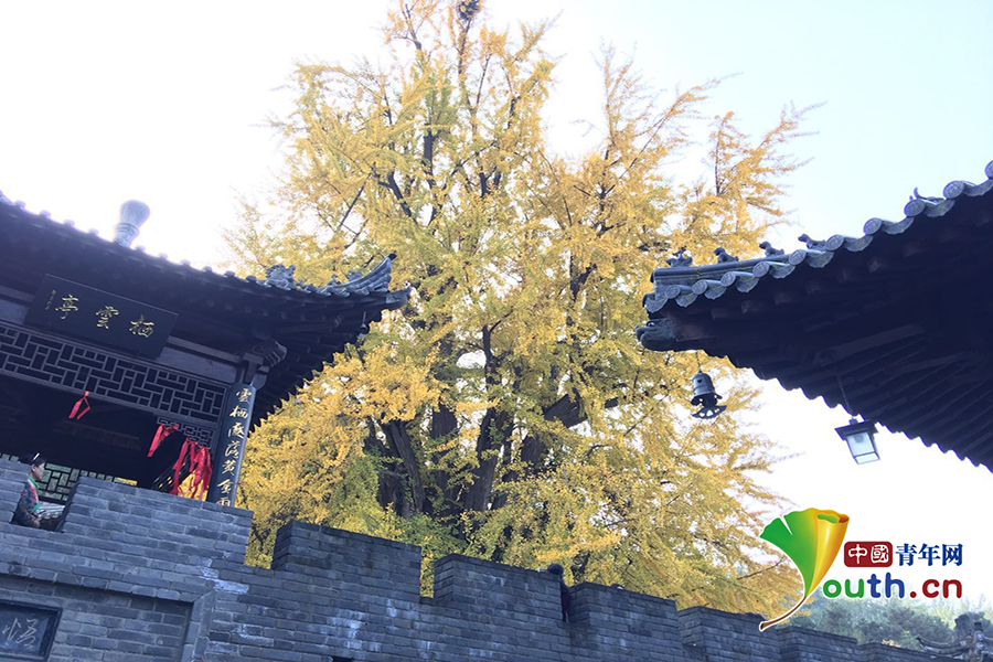 公交车色情片