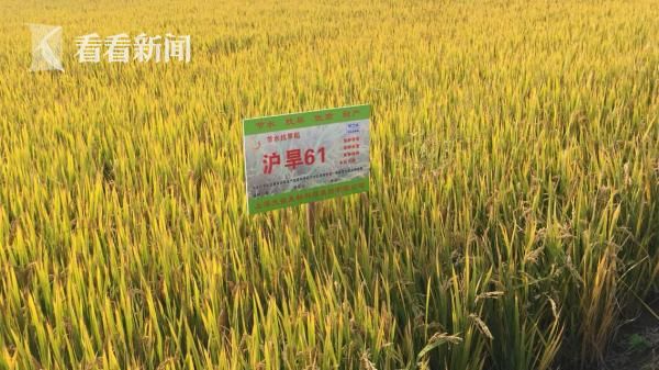 年轻女同学 韩国伦理片在线观看