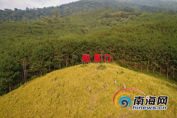 免費A漫 - 禁漫天堂