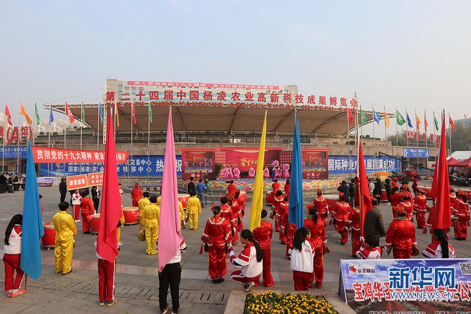 韩国毛片