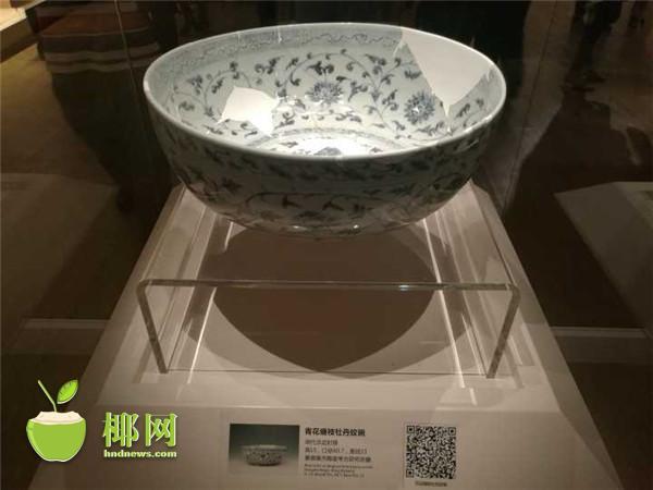 成人欧美Gay男同GV