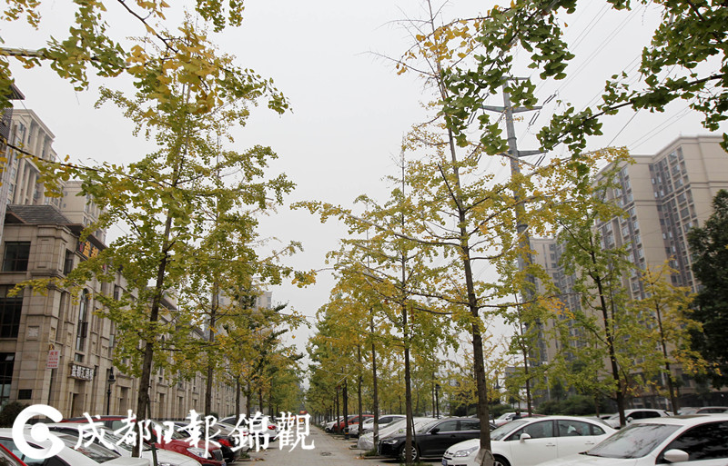 日本 Ⅴ一区二区三区色情
