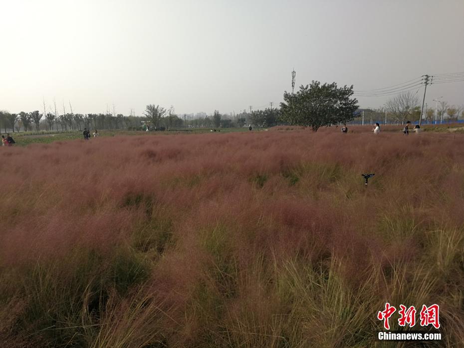 91人妻边做边打电话