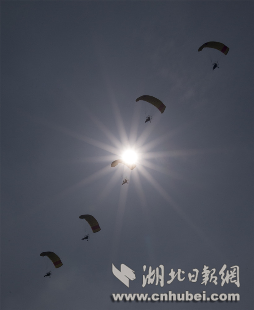 秋霞网