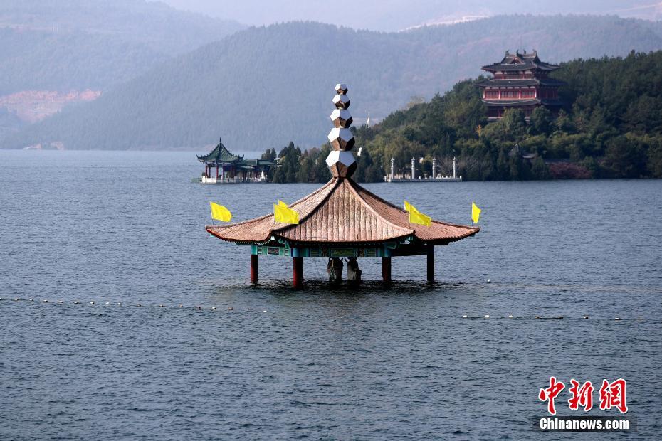 黄色p直播间