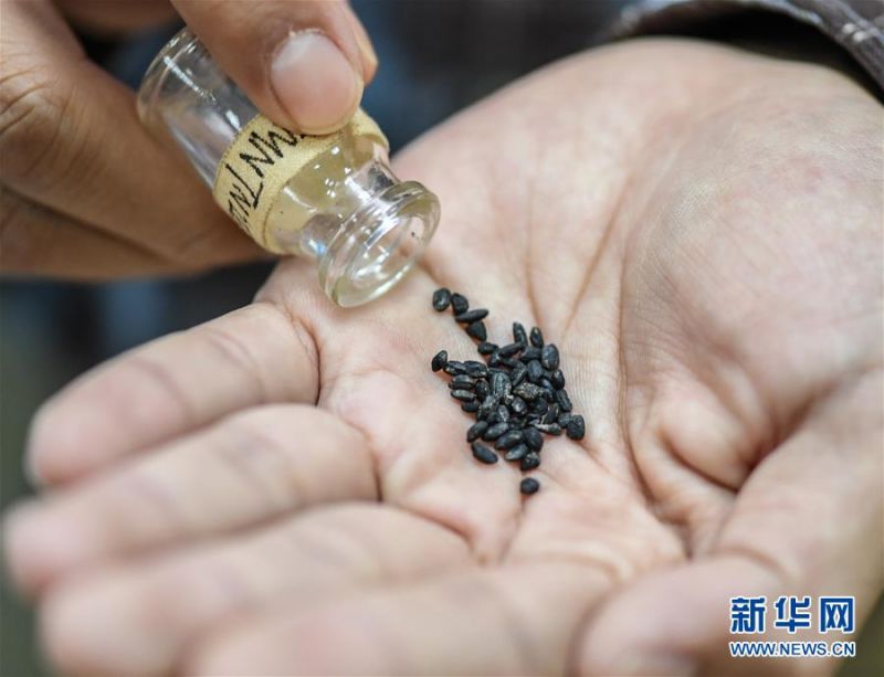 白洁被五人糟蹋一夜n次