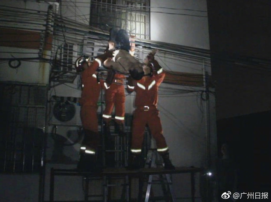 巜人妻公侵犯波多野结什么销售