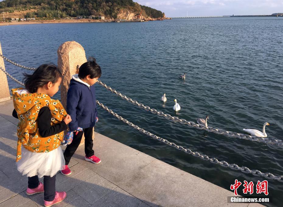 美女少妇黄色网站在线观看