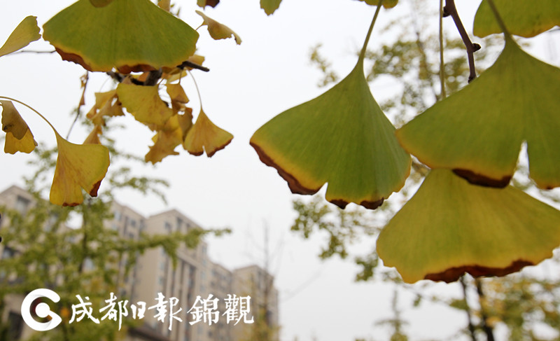 老师扒开让我 了一夜动漫