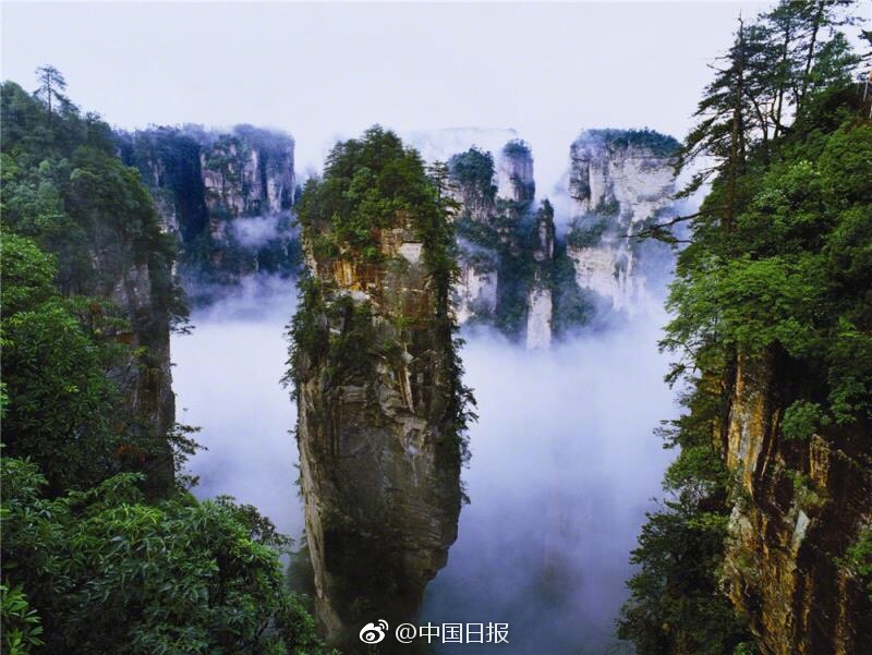 朱可儿