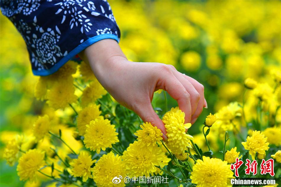 再深点灬舒服灬免费A片