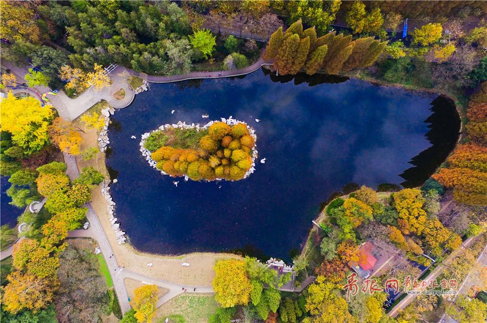 台中公園流鶯