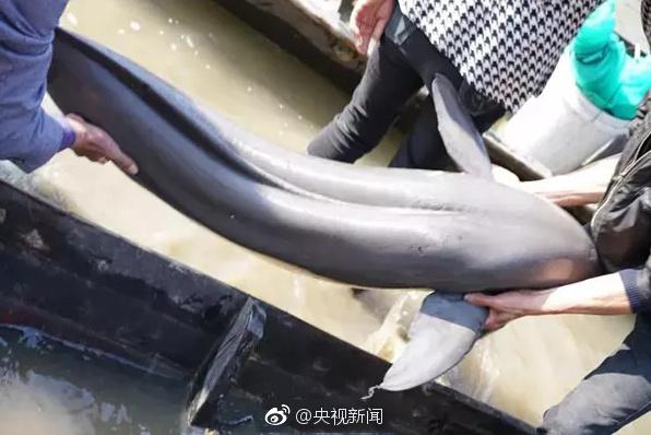無碼打飛機中國大陸