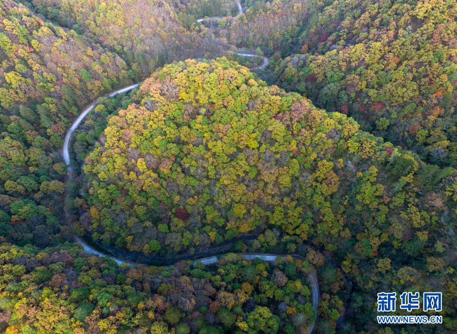 搞机time下载不用不收钱嘉兴直接打开